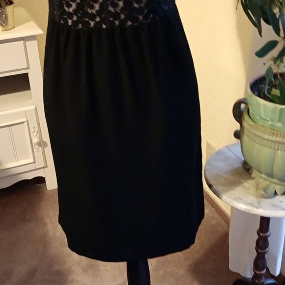 Loft Lace and Chiffon Skirt. Lace. Whimsigoth. Dressy - Picture 3 of 13